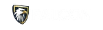 Falcon