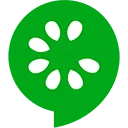 Cucumber
